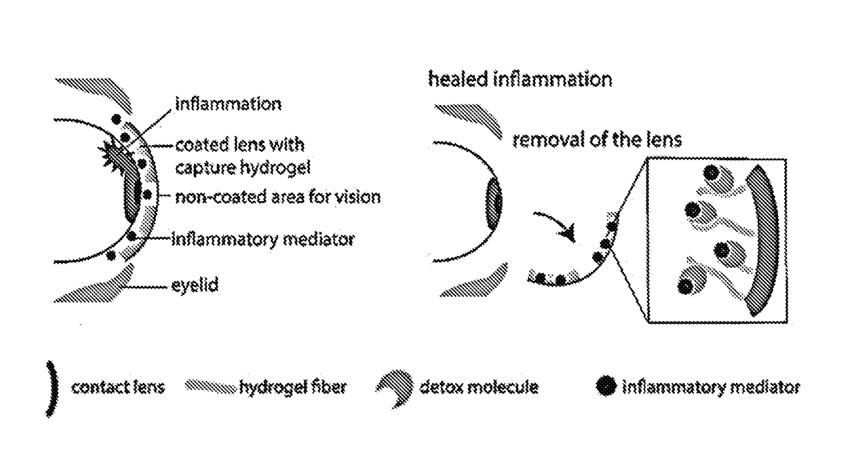 Ophthalmic Contact Lens with Compressible Affinity Matrix