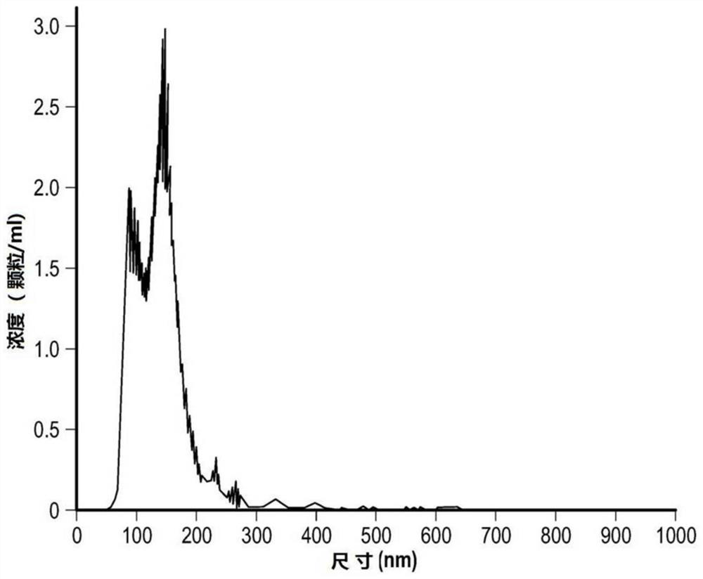 Extracellular vesicles for inhalation