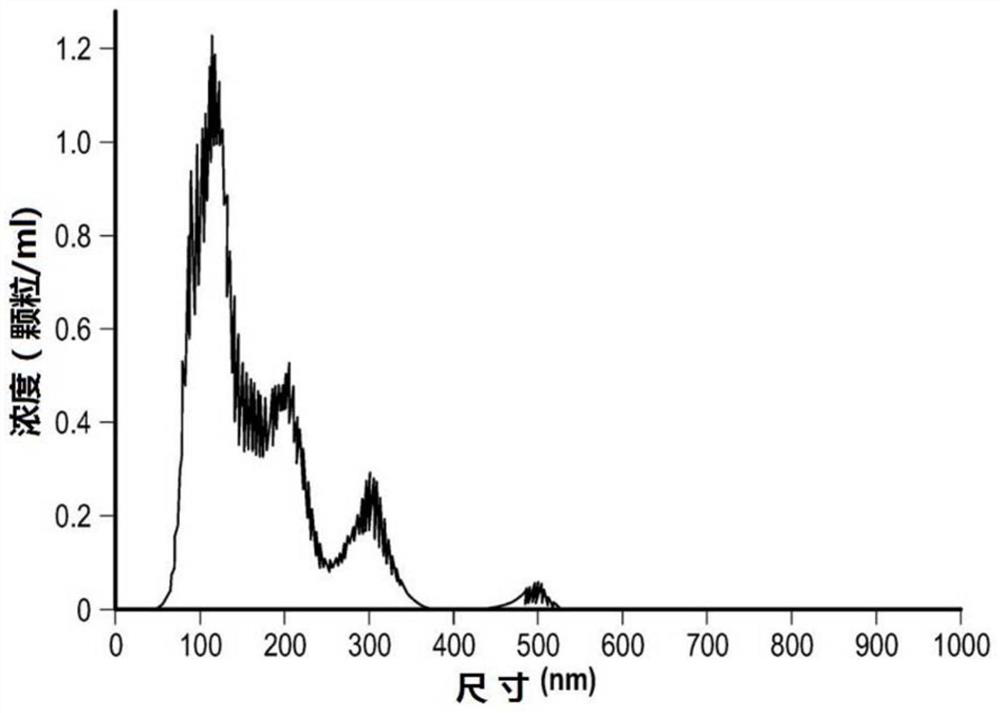 Extracellular vesicles for inhalation