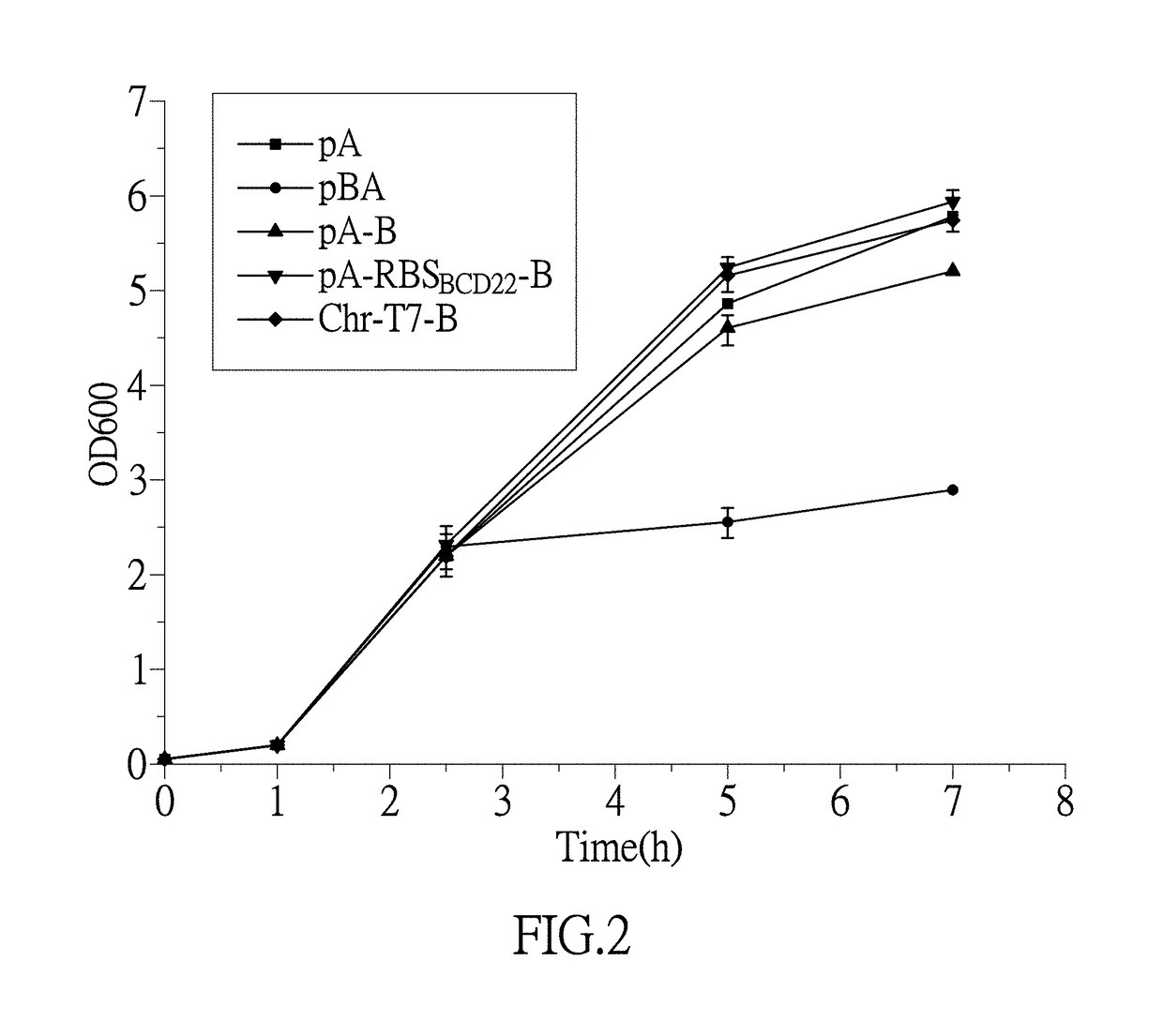 <i>E. coli </i>engineering bacteria producing 1,5-pentanediamine through whole cell catalysis and application thereof