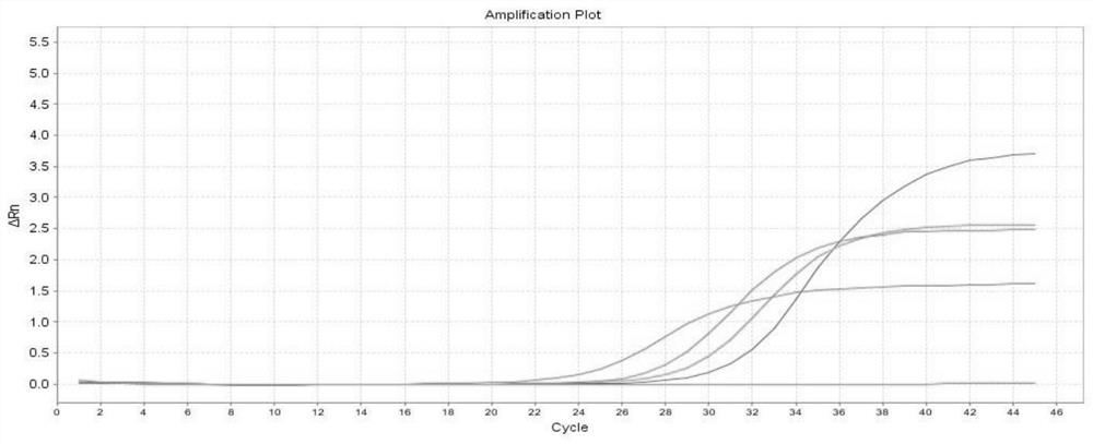 Primer, probe and reagent kit for universal influenza A virus nucleic acid detection