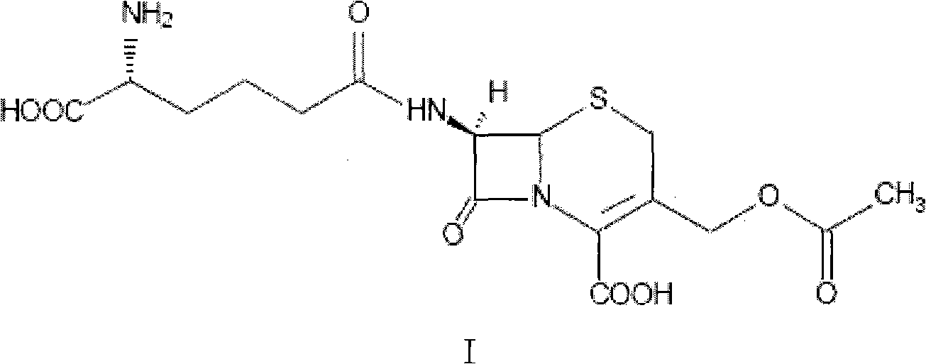 Macroporous adsorption resin special for extracting cephalosporin C and its preparation method