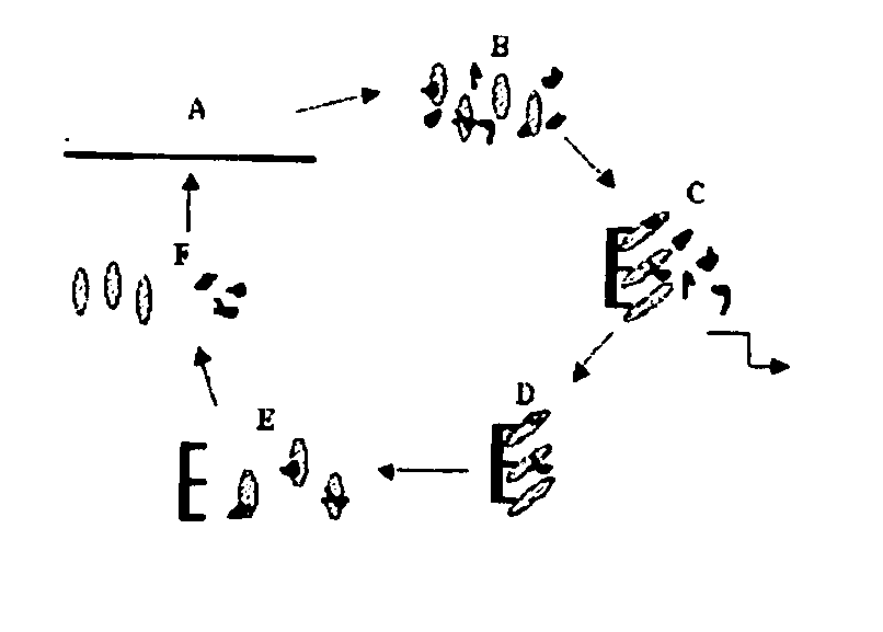 Compositions comprising nucleic acid aptamers