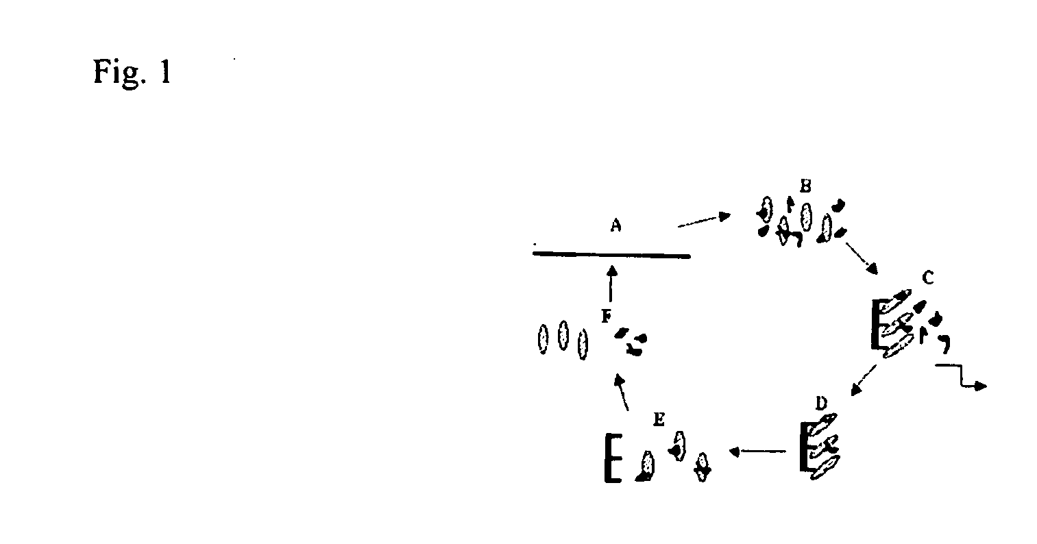 Compositions comprising nucleic acid aptamers