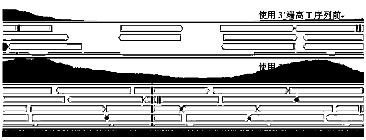 Screening method of infective gene capture probe related to dementia, capture genome, product and application