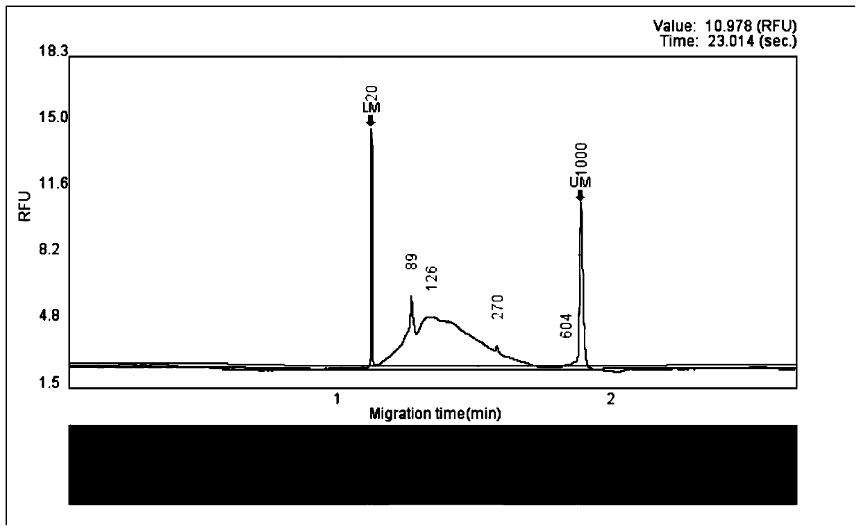 Screening method of infective gene capture probe related to dementia, capture genome, product and application