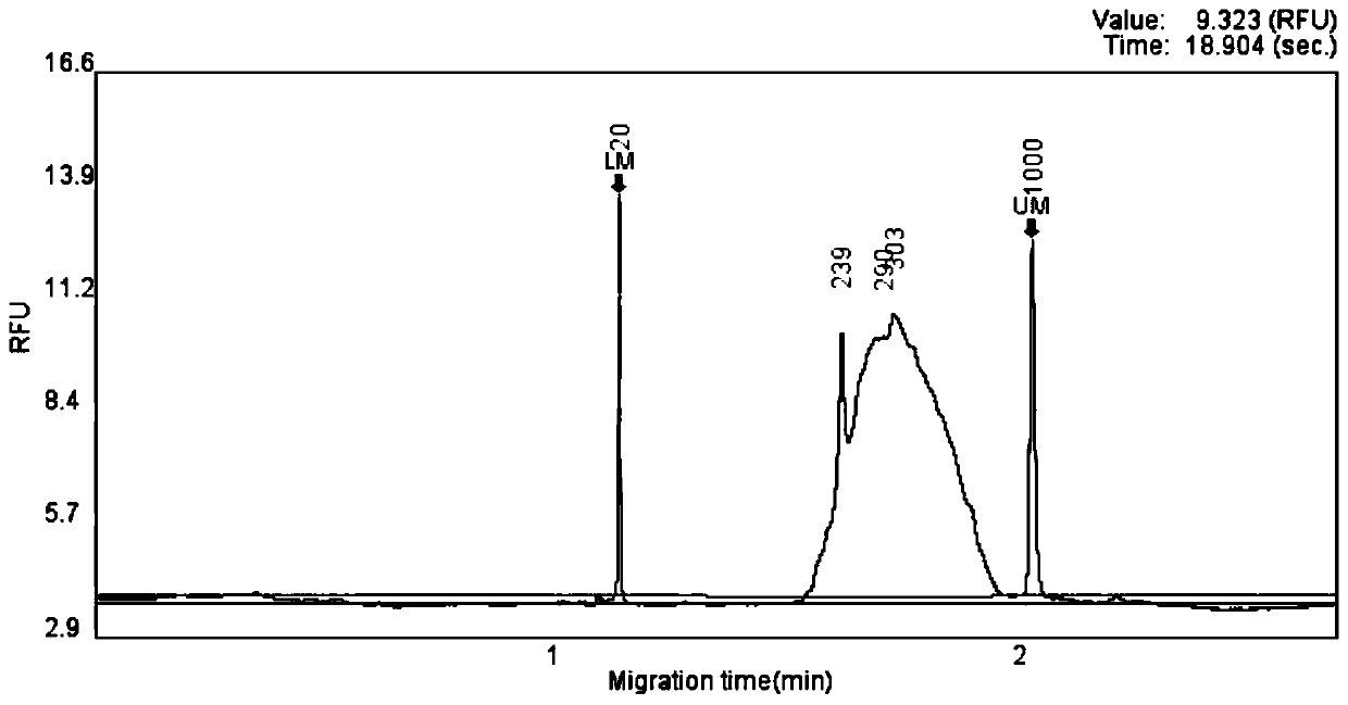 Screening method of infective gene capture probe related to dementia, capture genome, product and application