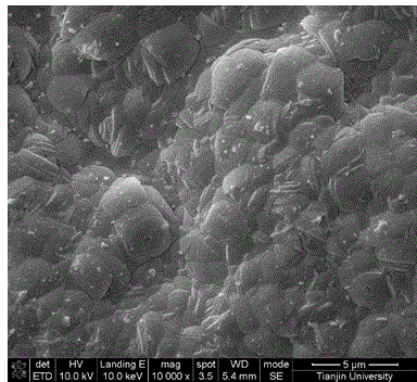 Preparation method of molecular sieve membrane