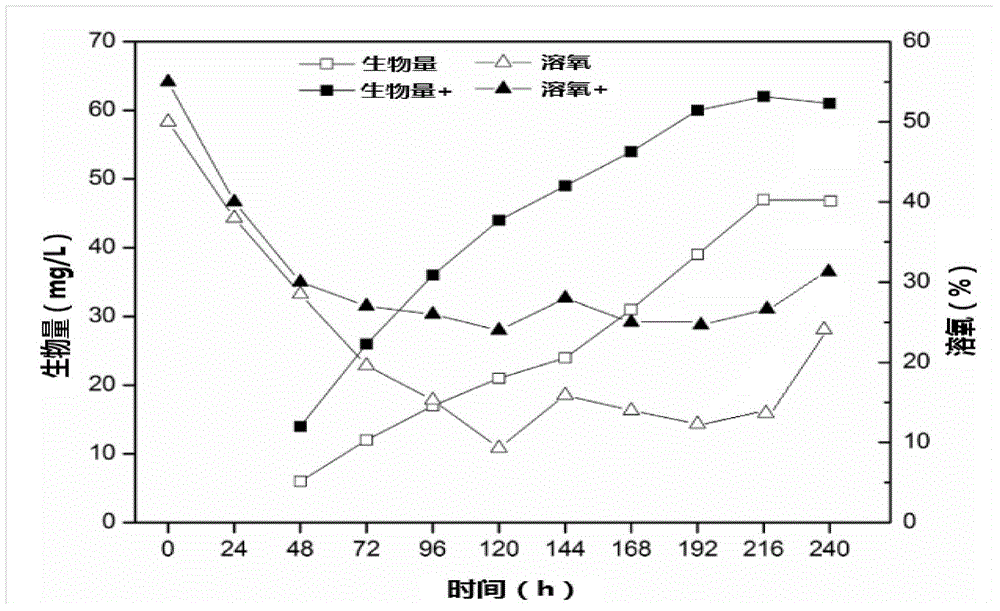 Method of increasing yield of spinosad by improving fermentation condition of saccharopolyspora spinosa based on metabonomics