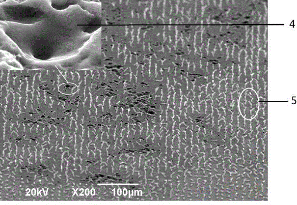 Field Emission Electron Source and Preparation Method of Its Carbon Nanotube Graphene Composite Structure