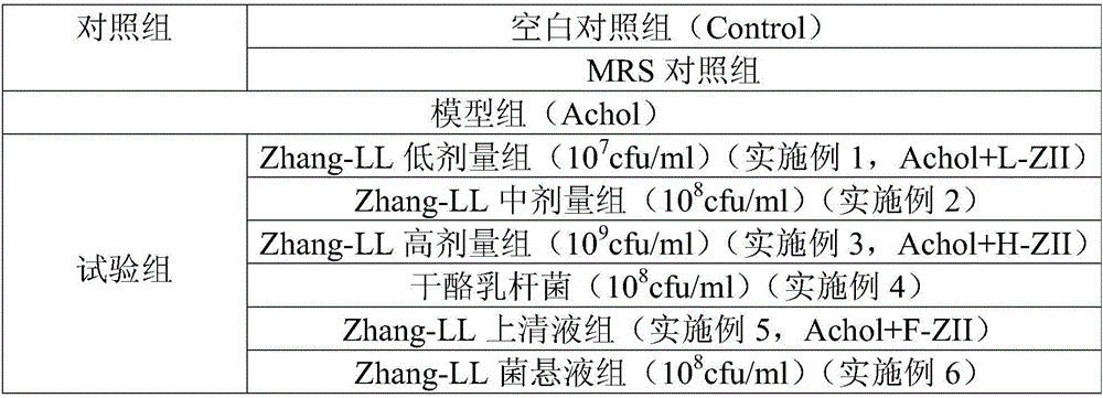 Application of lactobacillus to preparation of product for preventing and/or treating weight loss caused by alcohol intake