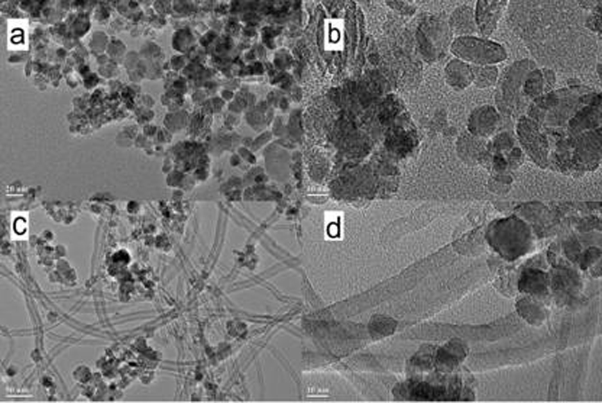 A magnetic carbon nanotube and its extraction method for clenbuterol in pork