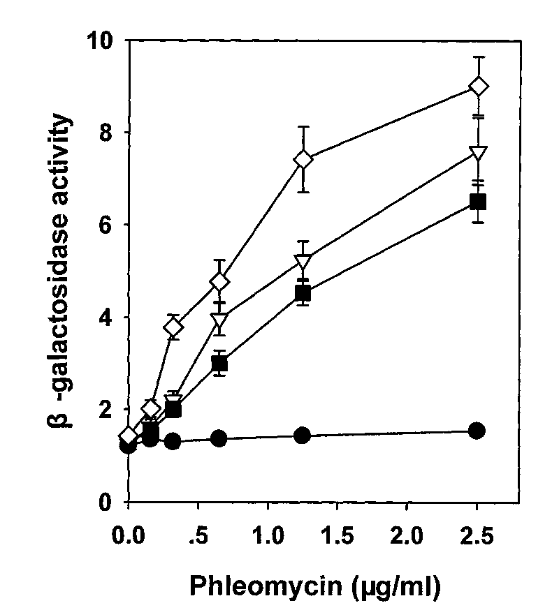 Ultrahigh permeability bread yeast and preparation method thereof