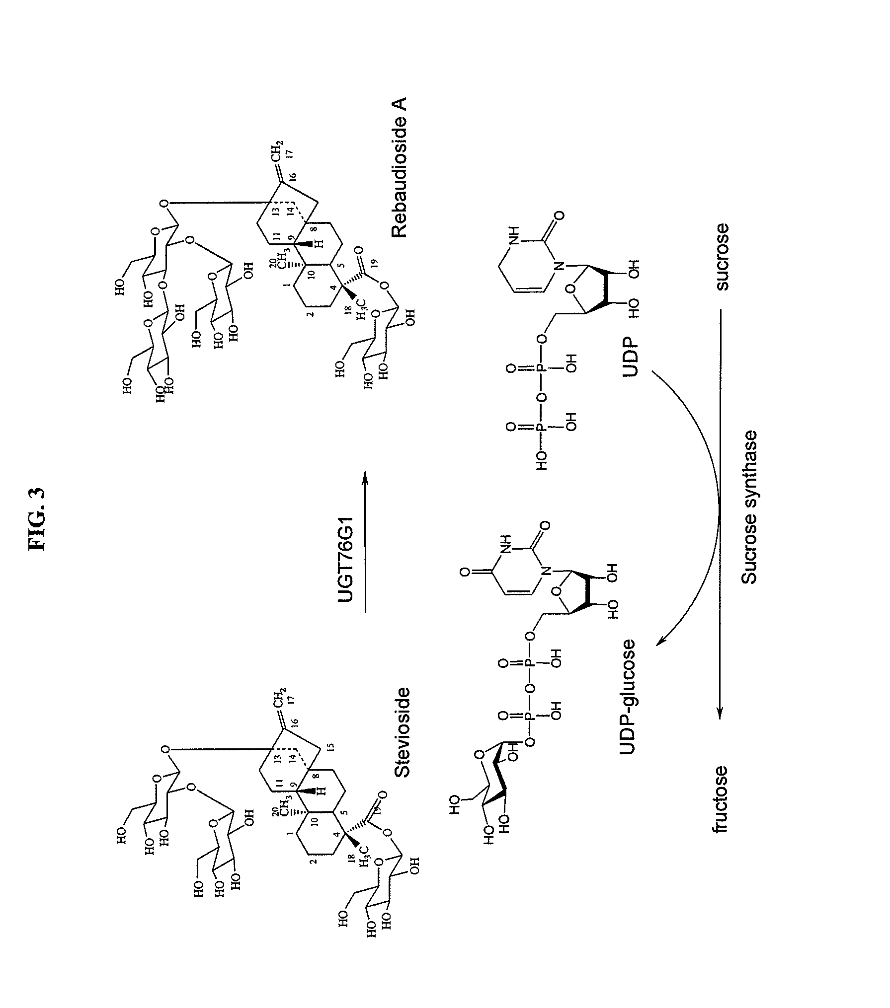 High-purity steviol glycosides