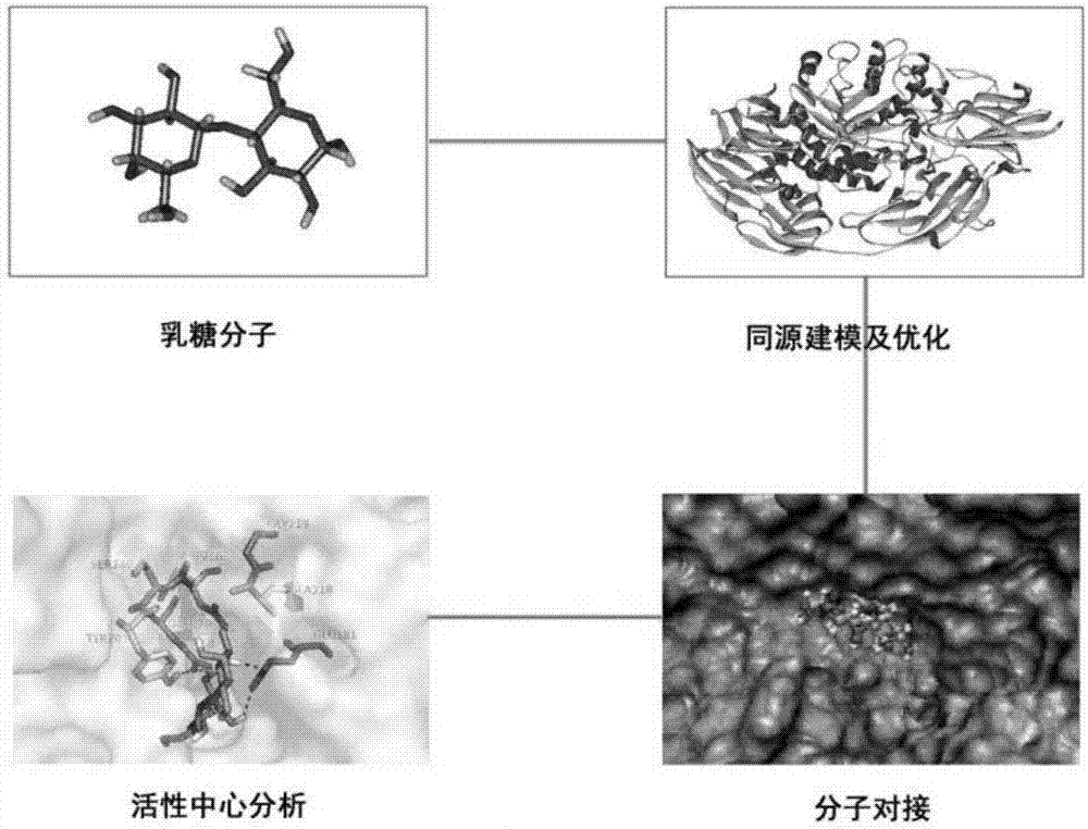 Beta-galactosidase combination mutant with high transglycosylation, and preparation method and application thereof