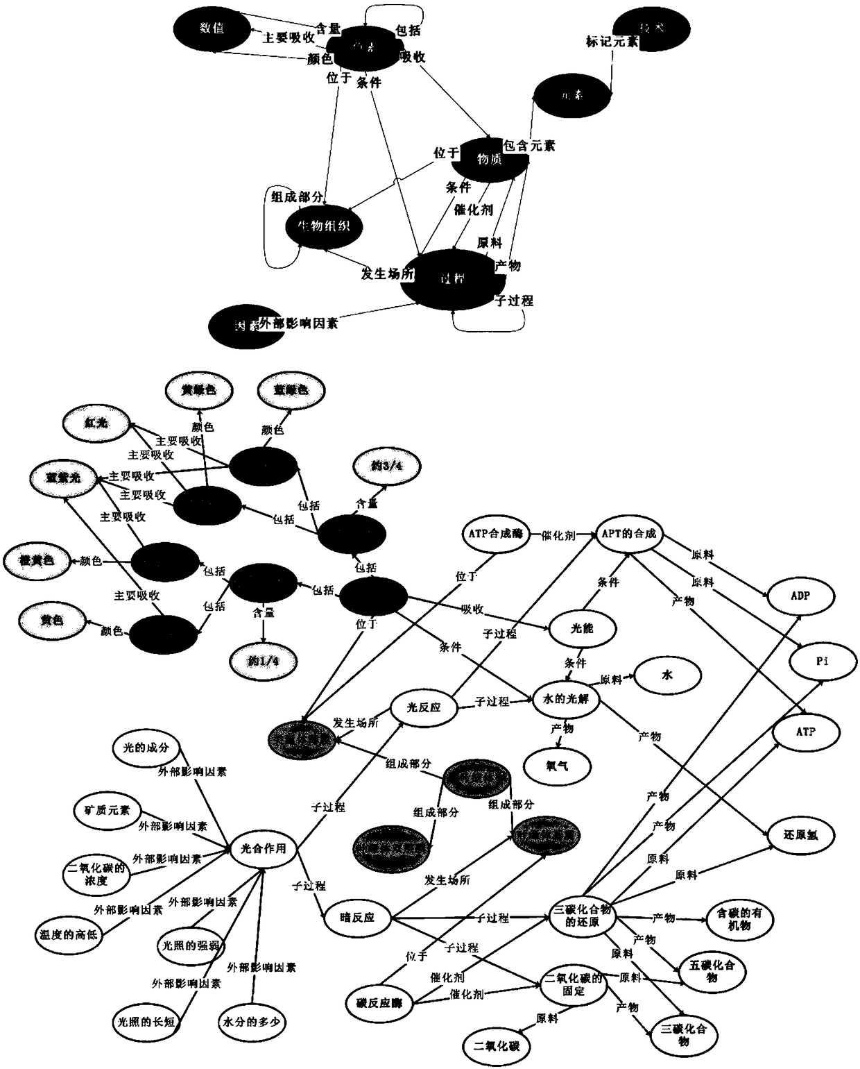 Question and answer analysis and processing method and system based on educational knowledge graph