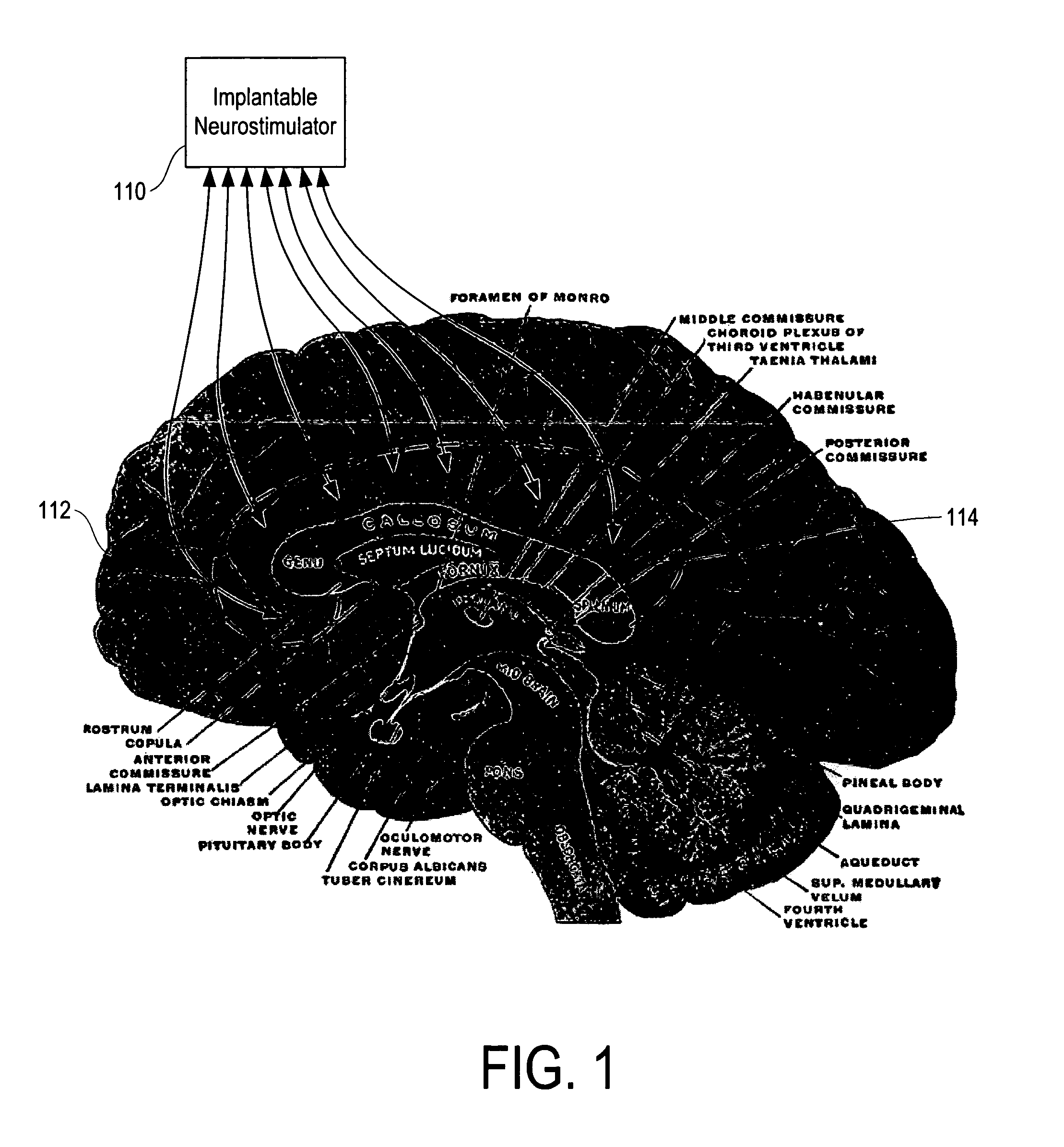 Responsive therapy for psychiatric disorders