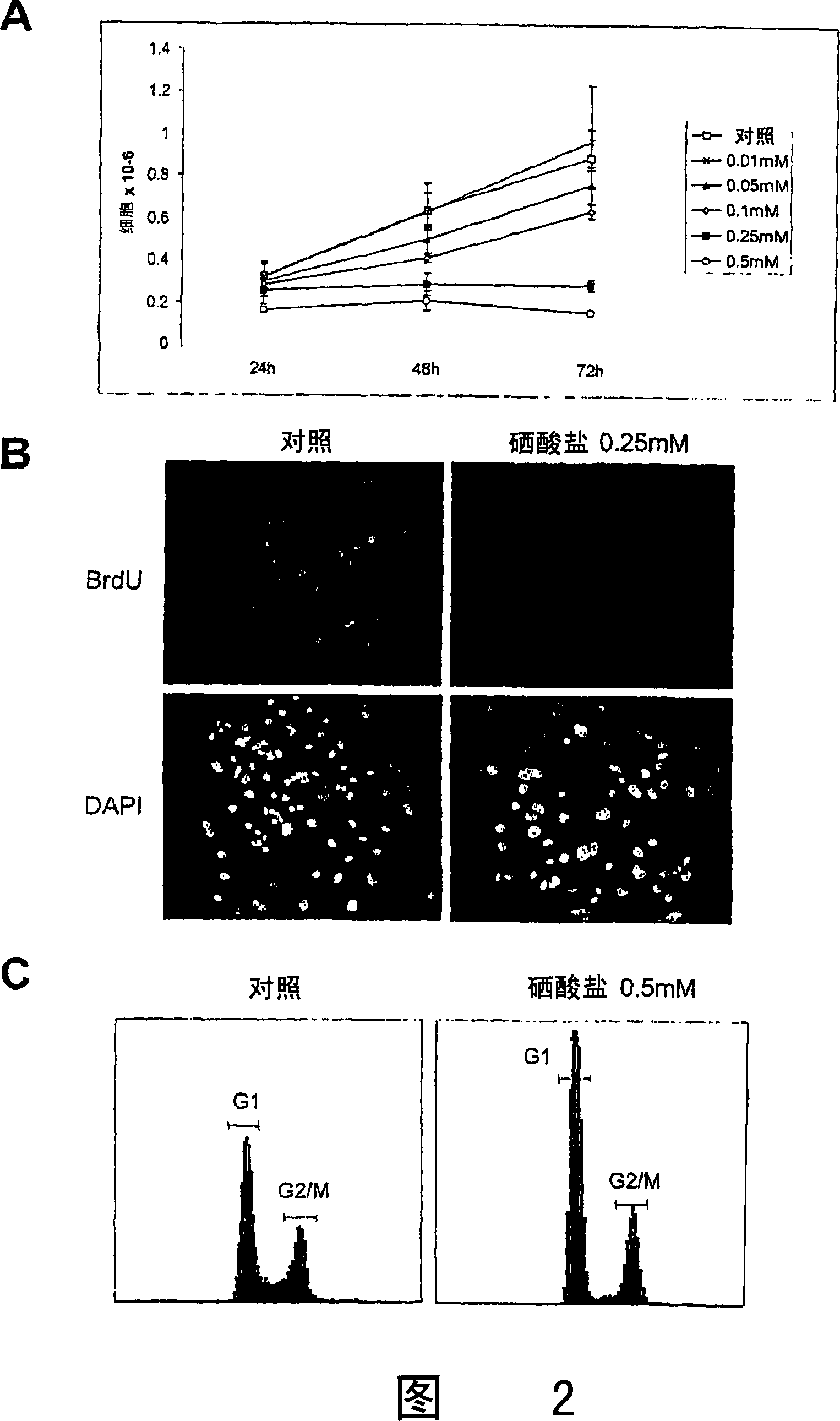 Inorganic selenium for treatment of cancer