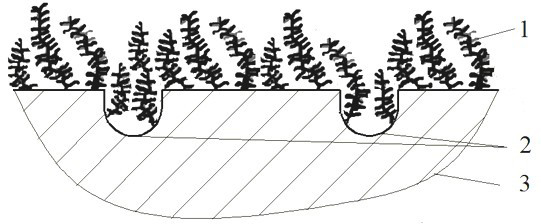 Bionic multi-scale structural surface with excellent tribological performance and preparation method