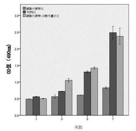 Calcium carbonate microsphere-extracellular matrix composite material as well as preparation method and application thereof