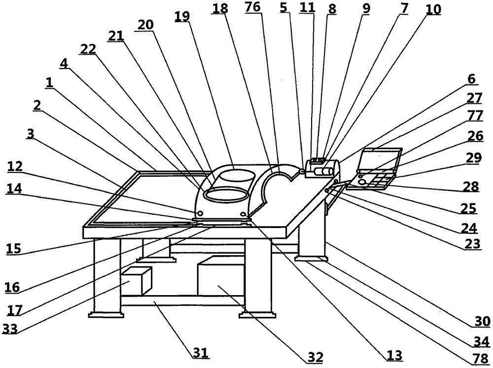 Disease examination device for chest surgery