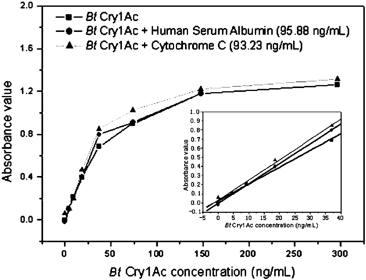 Biotin-labeled polymer nanoparticle simulated antibody and application thereof in Bt protein enzyme-linked immunosorbent assay