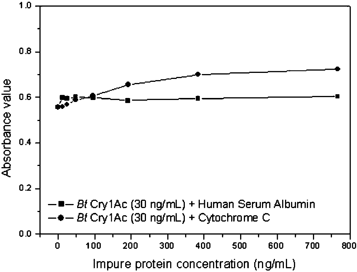 Biotin-labeled polymer nanoparticle simulated antibody and application thereof in Bt protein enzyme-linked immunosorbent assay