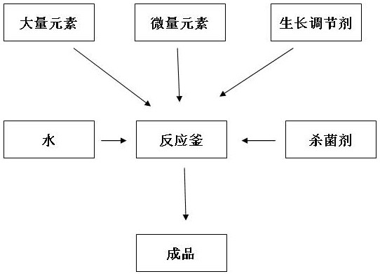 Greenhouse cabbage nutrient solution and preparation method thereof