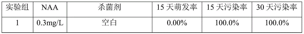 Preparation method of antibacterial artificial seeds of orychophragmus violaceus