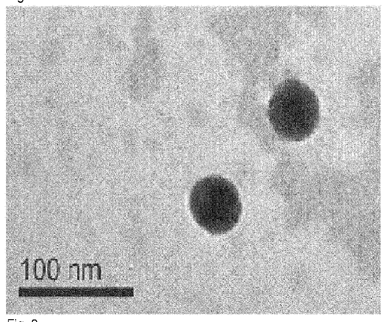 Isolated bacteriophage having <i>E. coli</i>-specific bactericidal activity and antibacterial composition comprising the same