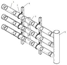 Novel greening and three-dimensional agricultural planting structure