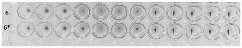 Stabilized non-enveloped virus compositions