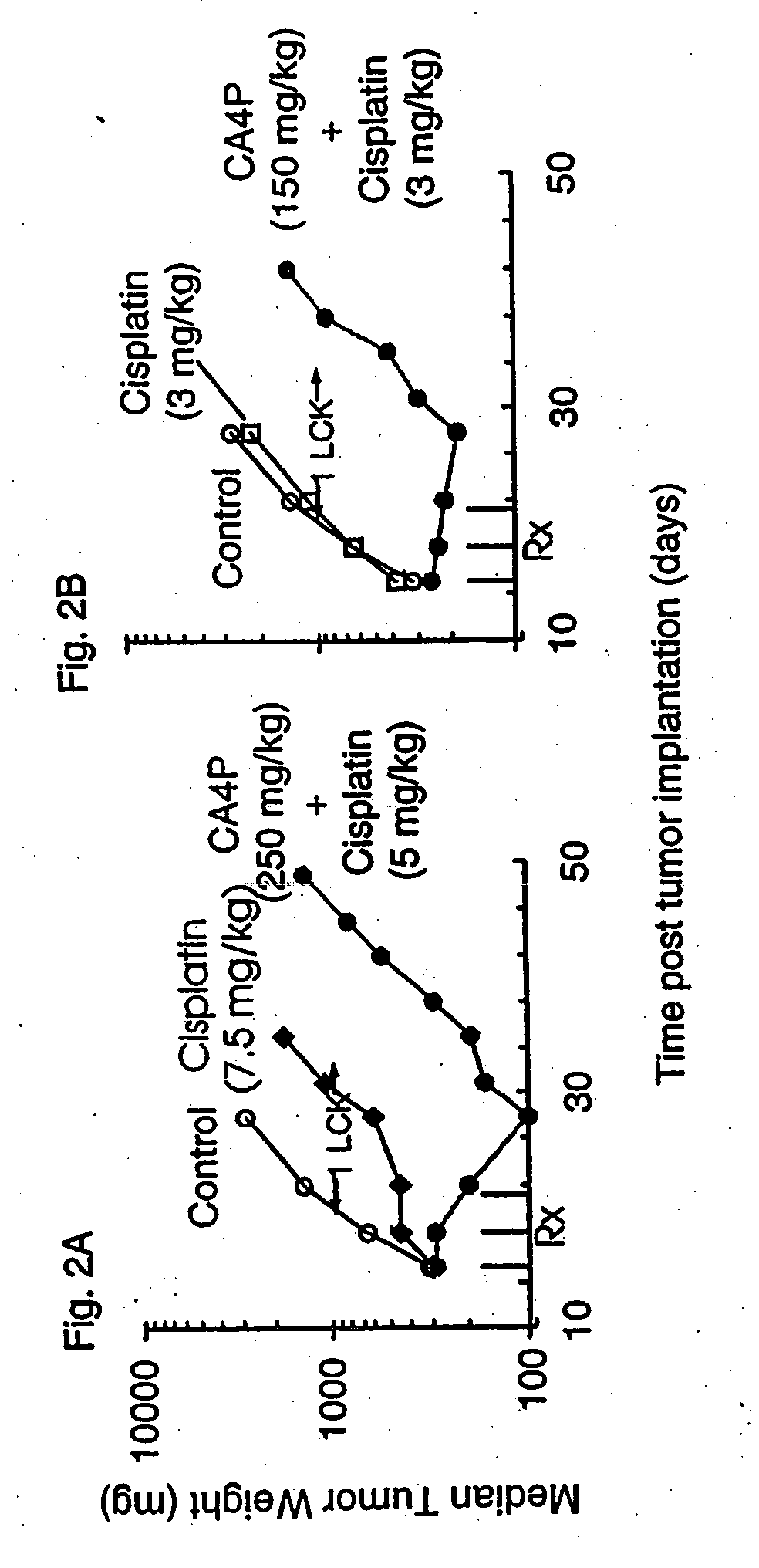 Methods for modulating tumor growth and metastasis