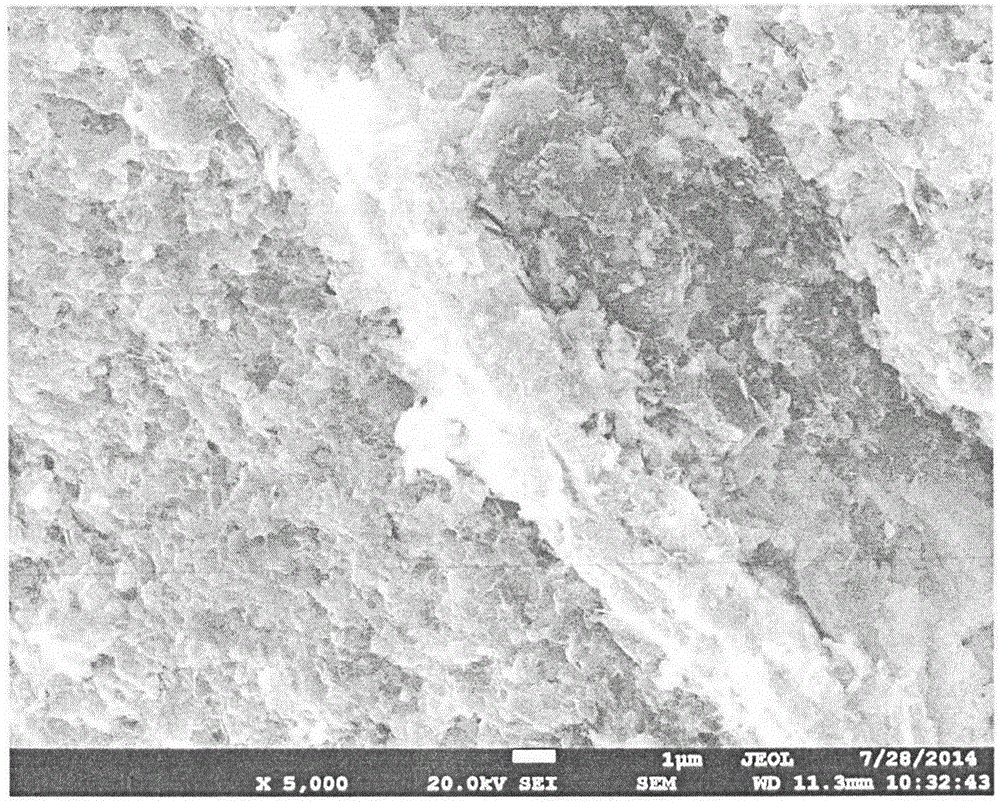 Method for preparing novel carbon fiber toughened Ti (C,N) based metal ceramic material