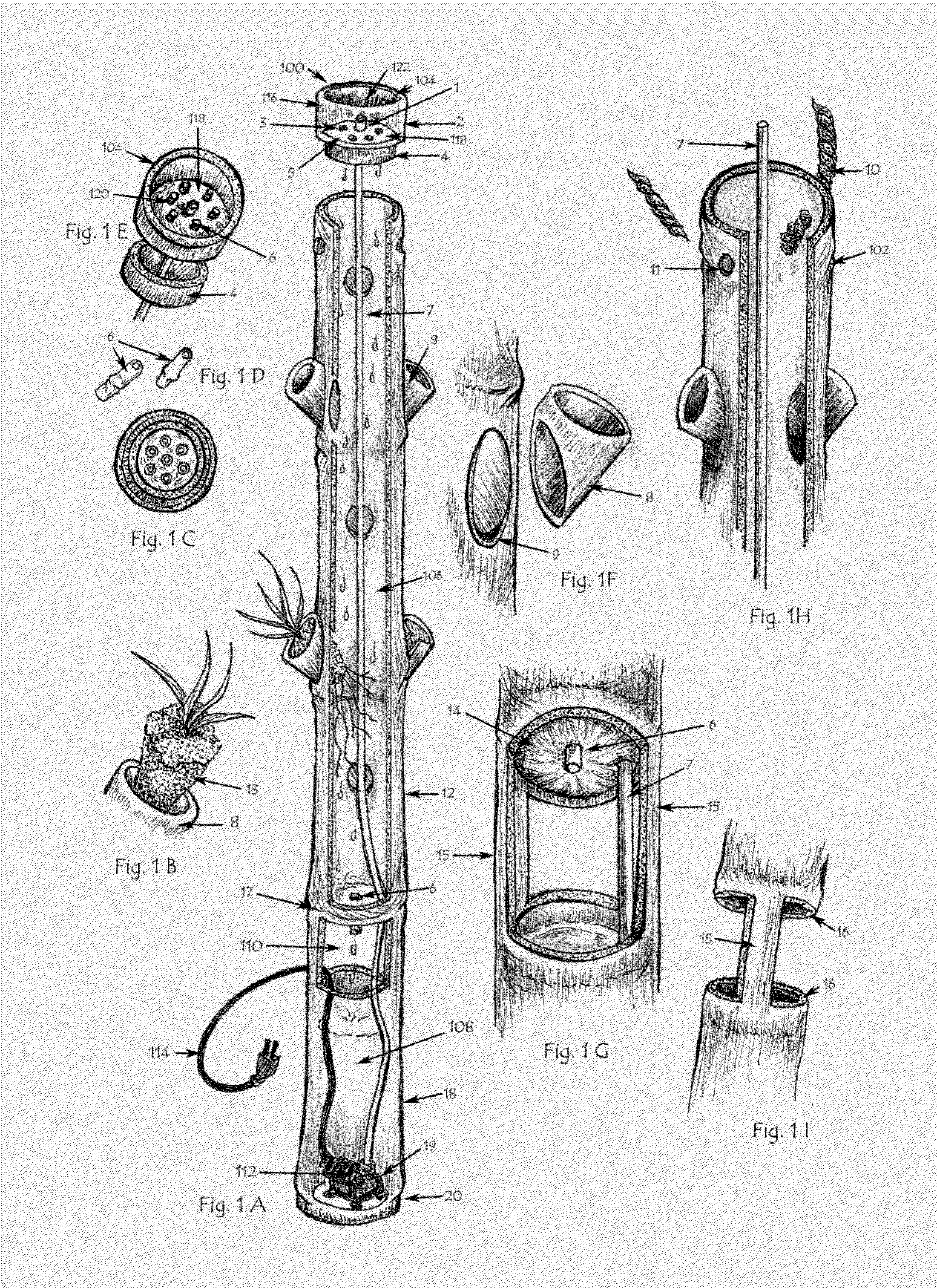 Hydroponic system for growing plants