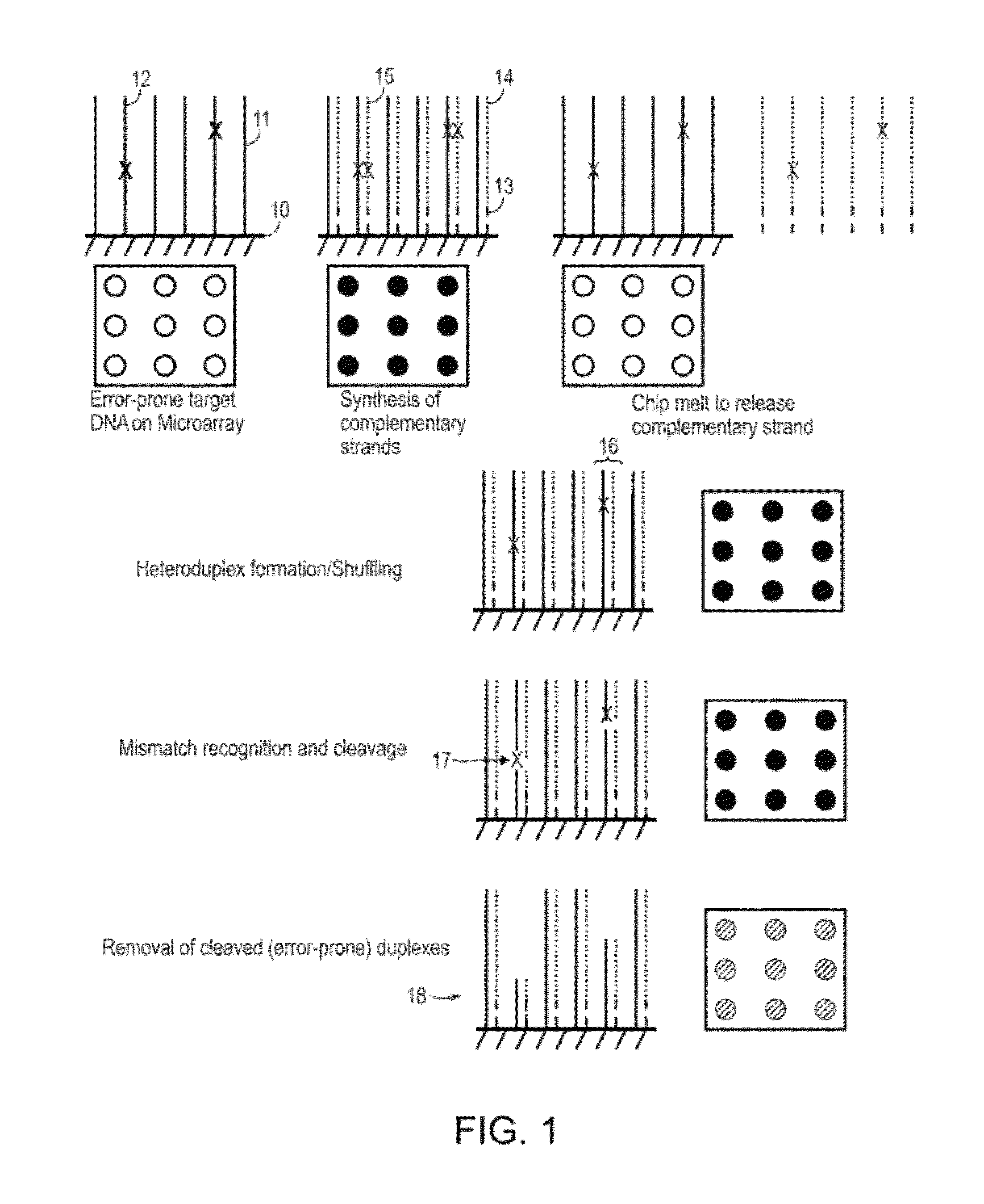 Methods and apparatuses for chip-based DNA error reduction