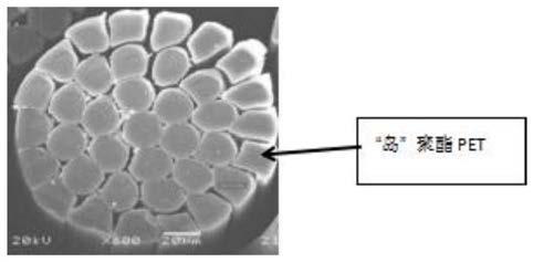 High-color-fastness polyester microfiber dyeing method