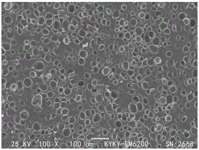 Thermally-expandable solid epoxy resin microcellular foam material and preparation method thereof