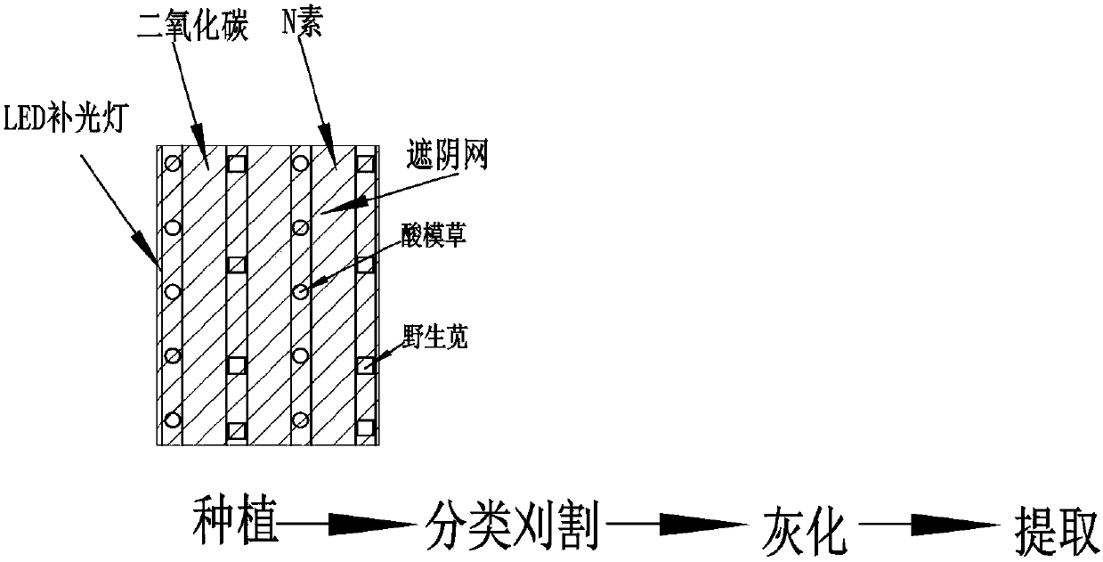 Method for comprehensively treating contaminated soil by using multiple plants