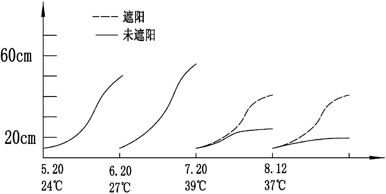 Method for comprehensively treating contaminated soil by using multiple plants