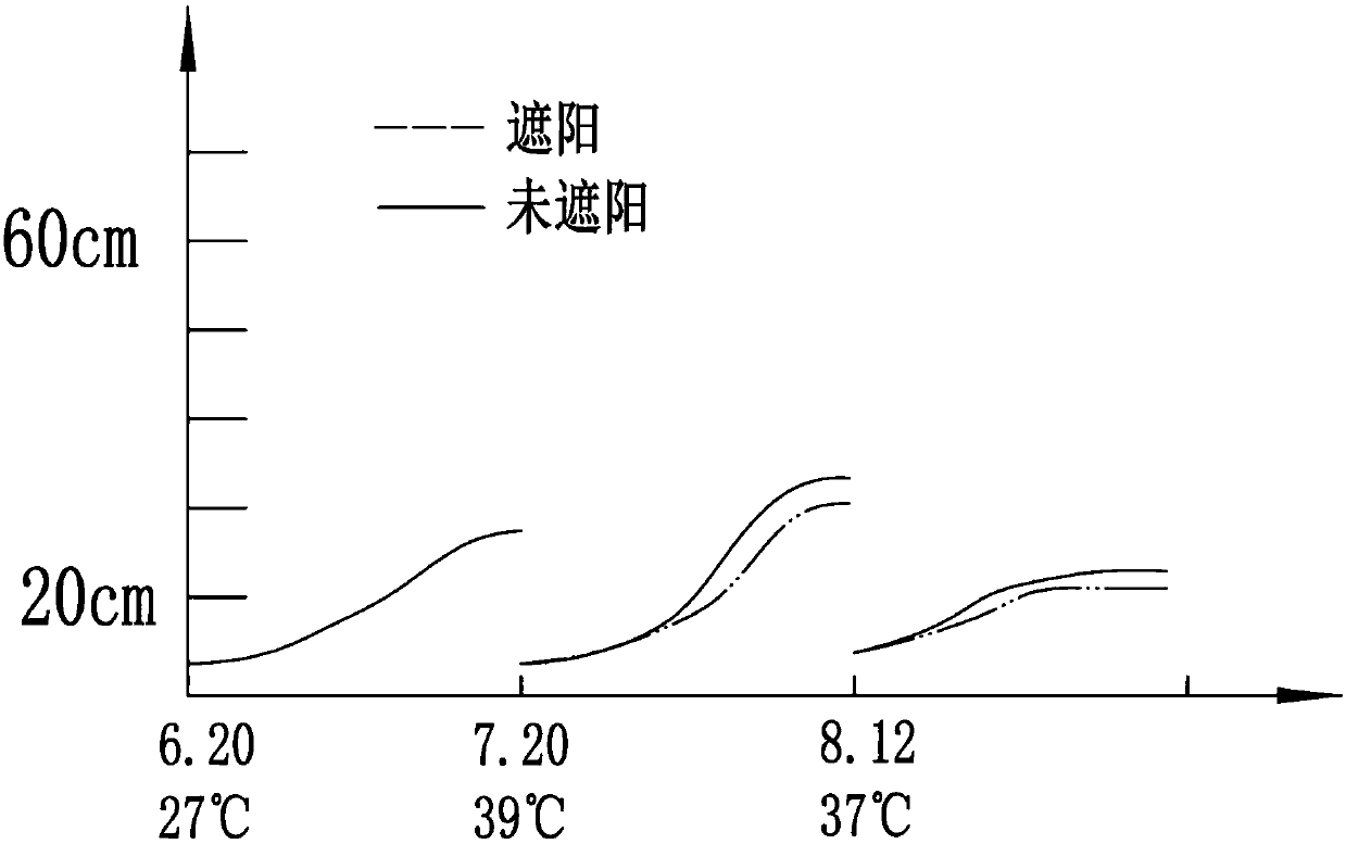 Method for comprehensively treating contaminated soil by using multiple plants