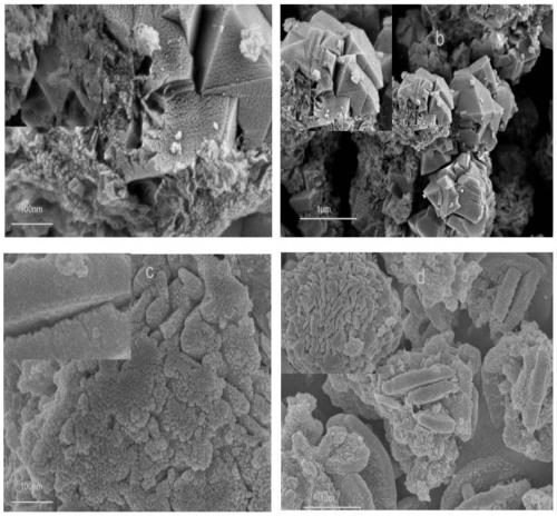 Method for treating radioactive element-containing wastewater by using zeolitic material