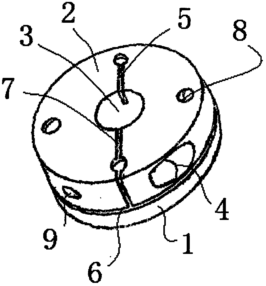 Diaphragm coupling