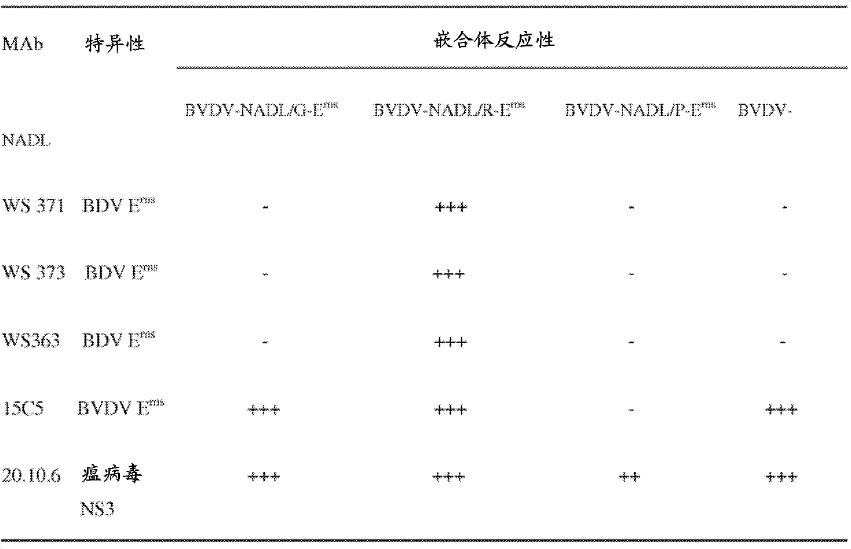 Bovine viral diarrhea virus with a modified erns protein