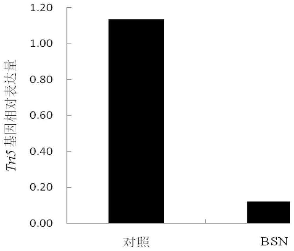 Application of n-(phenylthio)phthalimide in reducing wheat toxin content