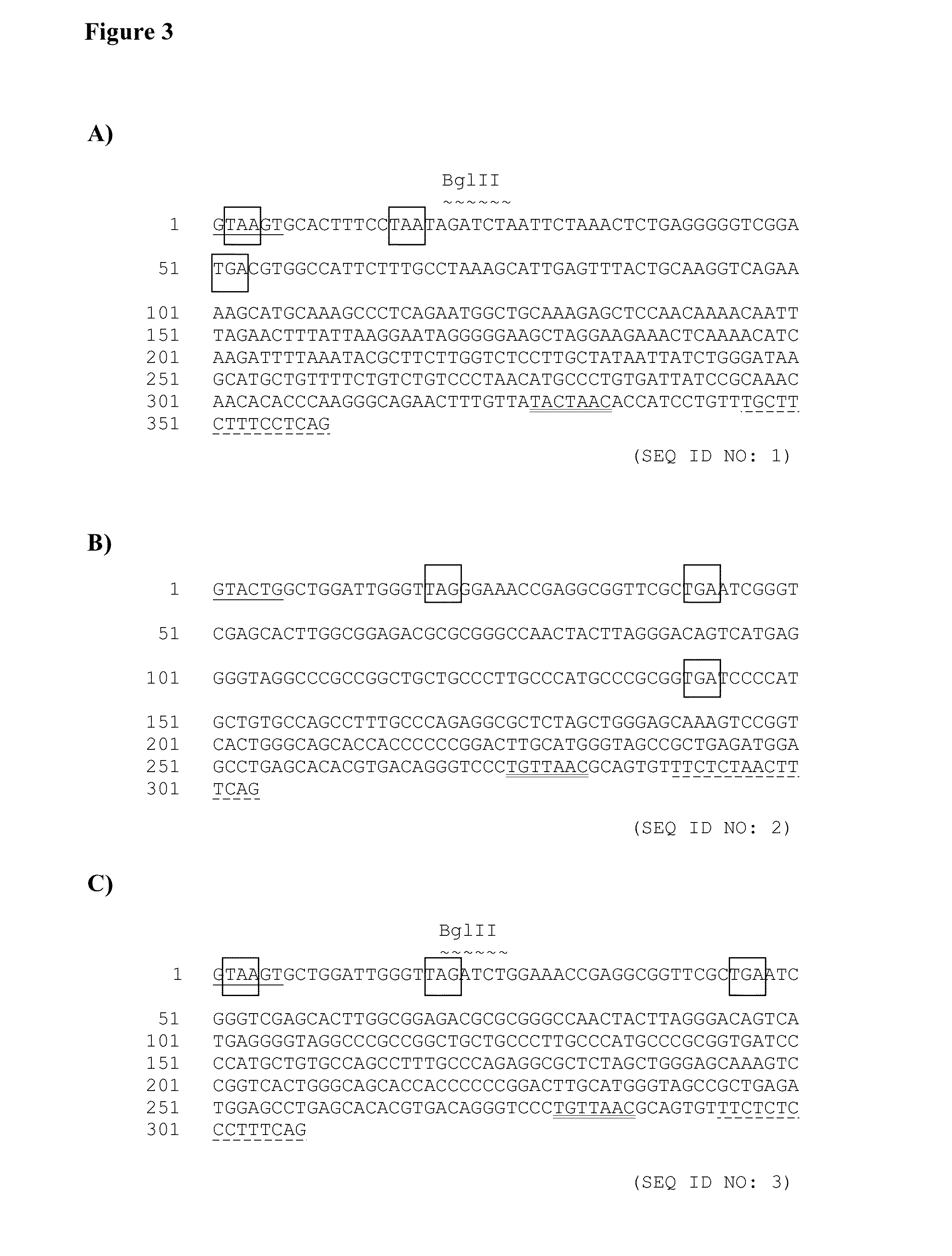 Artificial introns