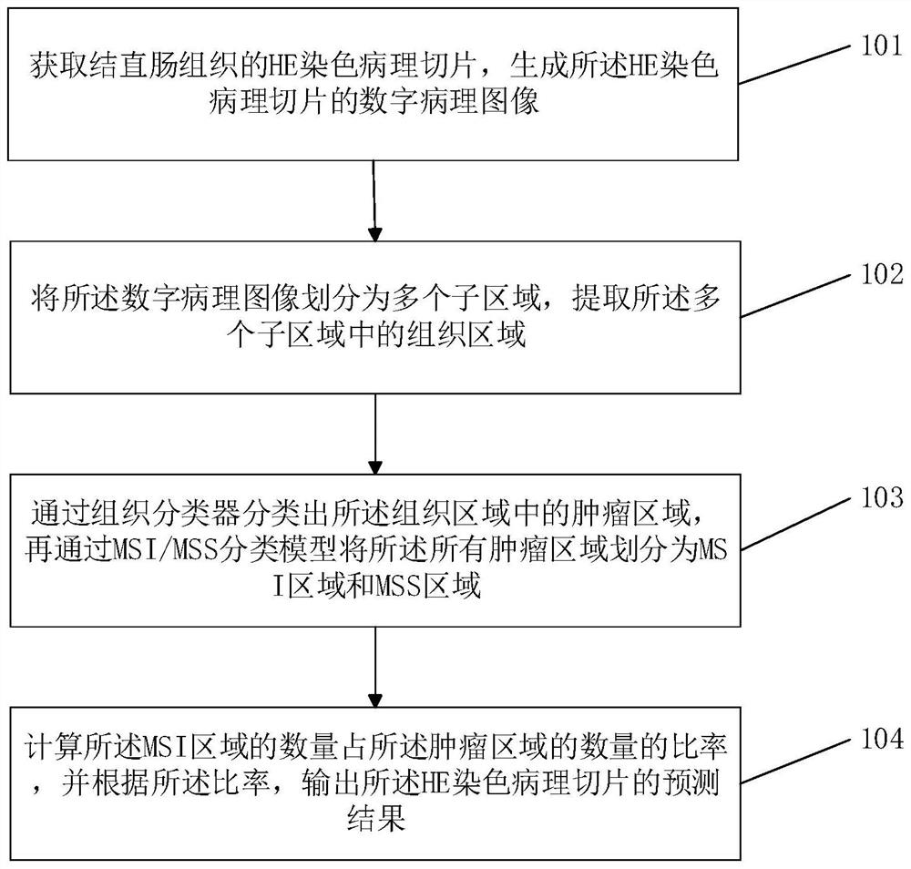 Method and device for predicting colorectal cancer mismatch repair function