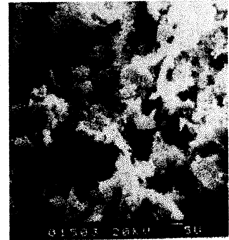 Porous bone prosthesis containing hydroxy apatite component and its preparation method