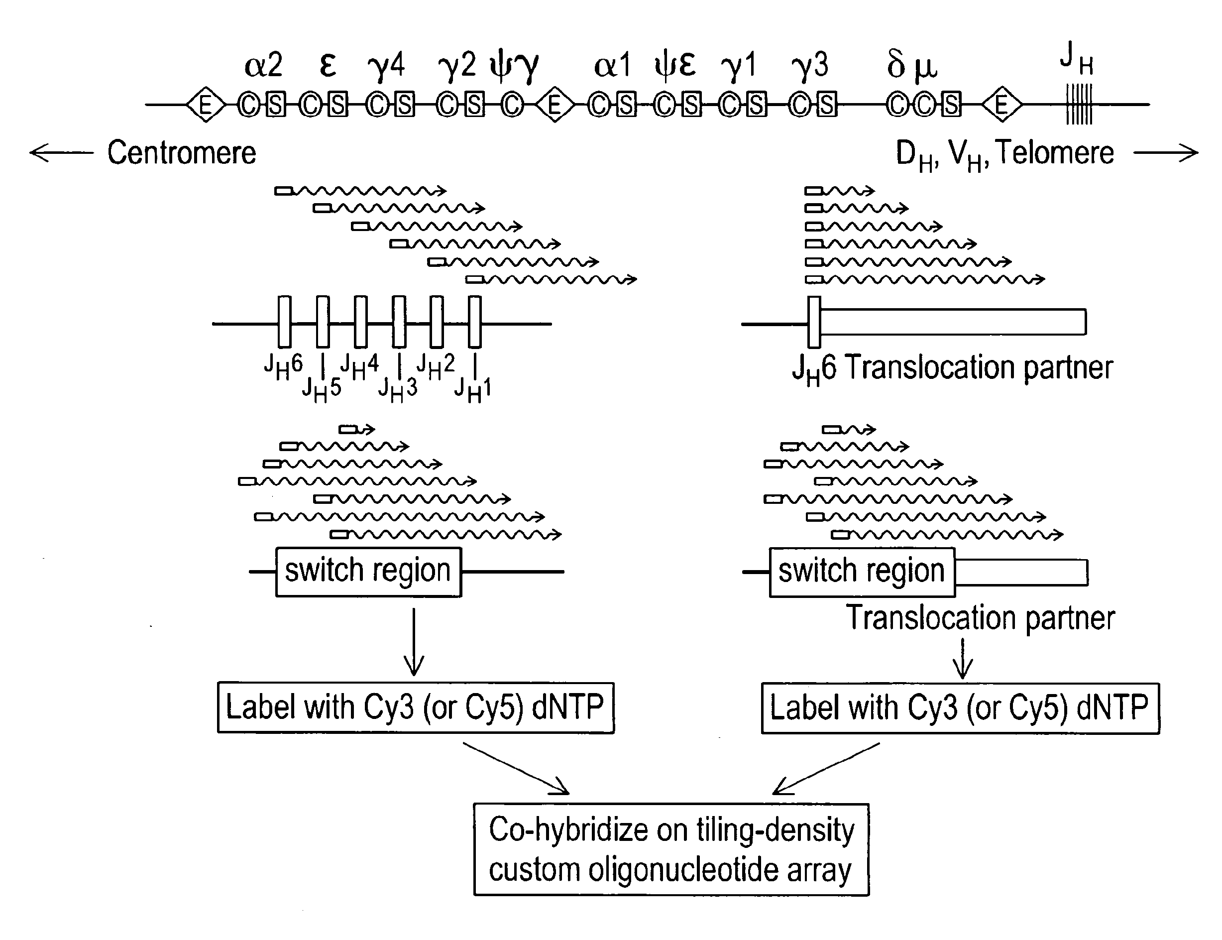 DNA microarray based identification and mapping of balanced translocation breakpoints