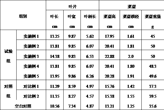 Organic fertilizer special for Chinese flowering cabbage and preparation method thereof